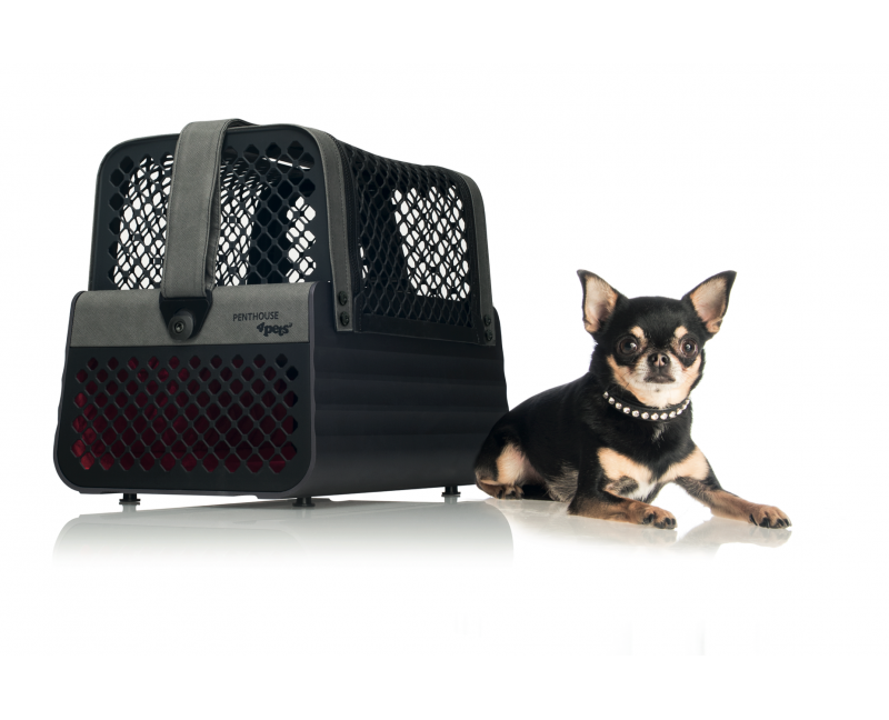 4 PETS Penthouse MONTREAL SET