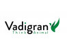 Vadigran